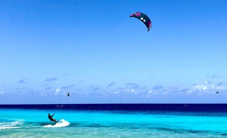 Top 10 van de leukste excursies op Bonaire