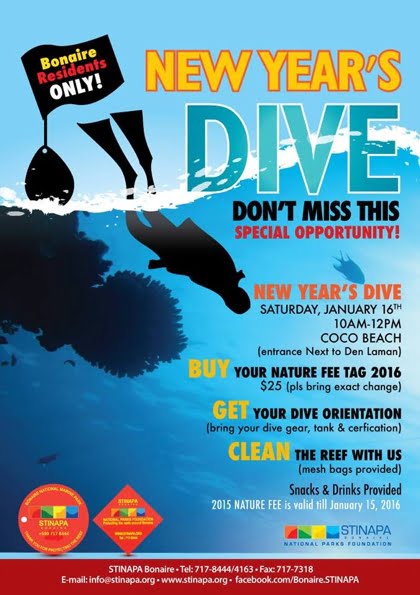 new years dive