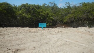 Ecologisch Herstel Lac gebied en Zuidelijk Bonaire