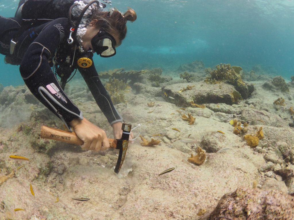 Meer dan 750 Elkhorn koralen geplant door Reef Renewal bij Oil Slick Leap
