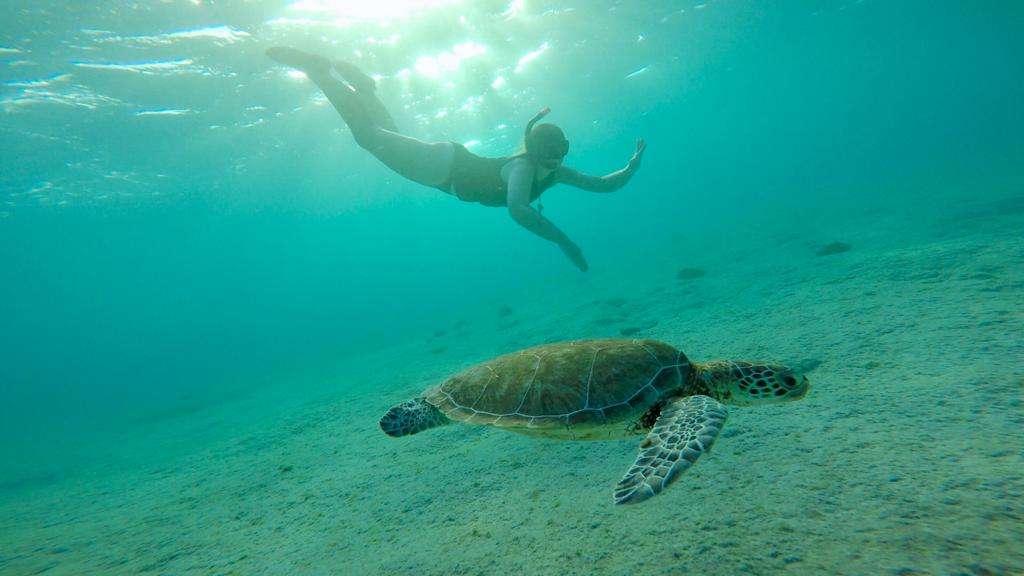 Top 5 van de mooiste snorkelplekken op Bonaire