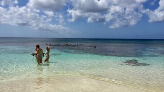 Top 10 van de leukste excursies op Bonaire