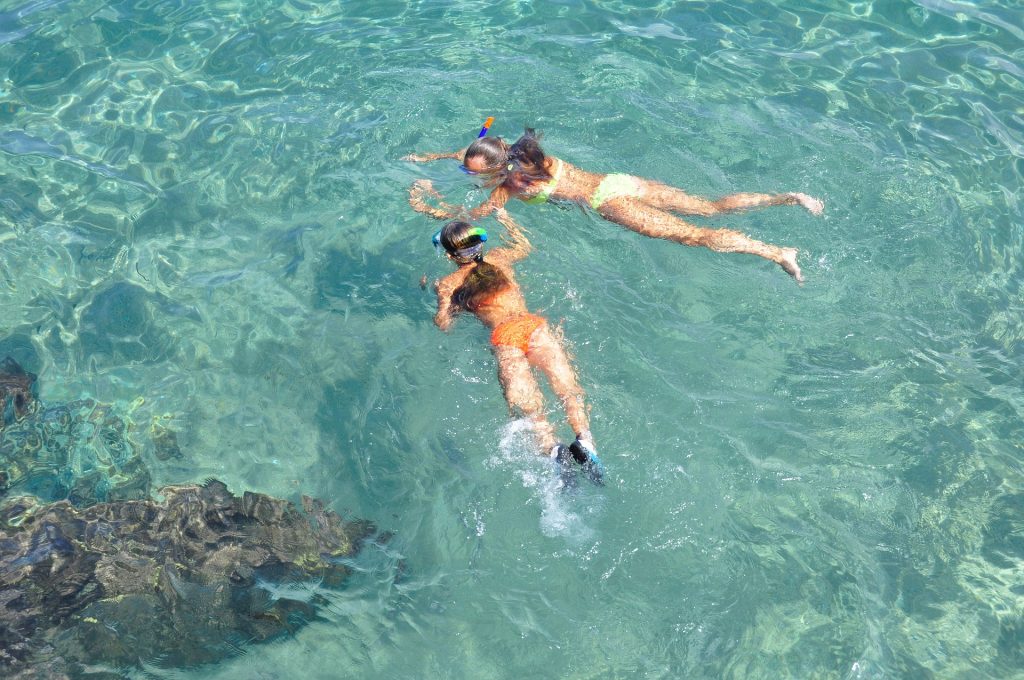 De leukste snorkelexcursies op Bonaire