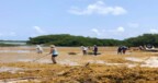 Stinapa Bonaire zoekt vrijwilligers