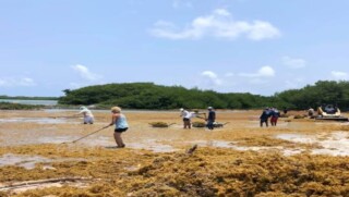 Stinapa Bonaire zoekt vrijwilligers