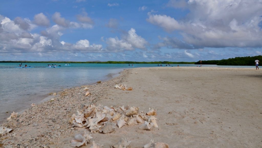 BC: Bonaire aantrekkelijker maken voor ecotoerisme