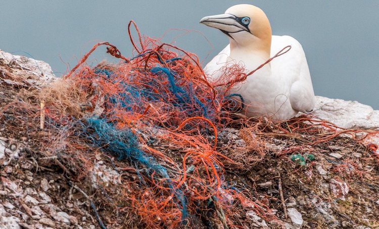 Sabanen ontvangen 'starter kit' om verbod op eenmalig plastic gebruik op te starten