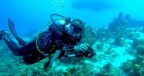 STINAPA deelt kaart van met koraalziekte besmette riffen op Bonaire