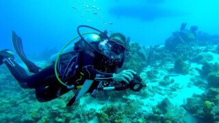 STINAPA deelt kaart van met koraalziekte besmette riffen op Bonaire