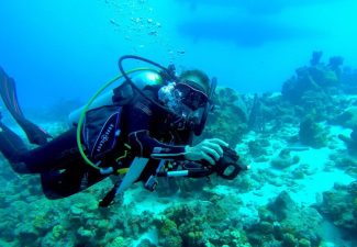 STINAPA deelt kaart van met koraalziekte besmette riffen op Bonaire