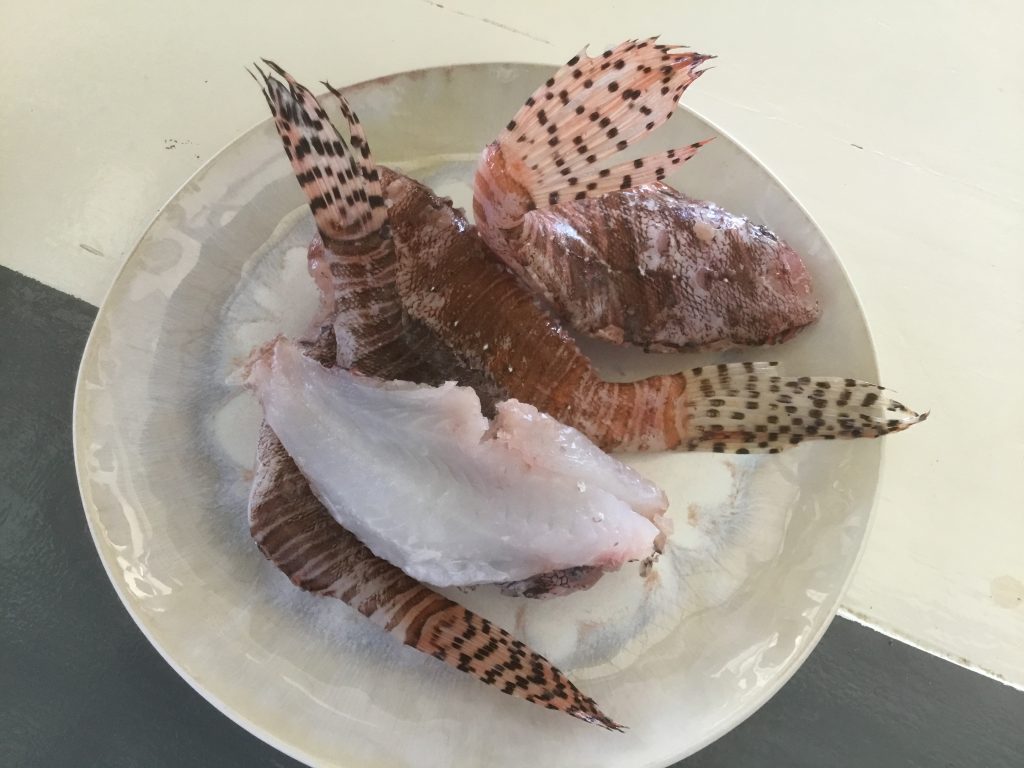Koken met Corjan: Lionfish op 3 manieren