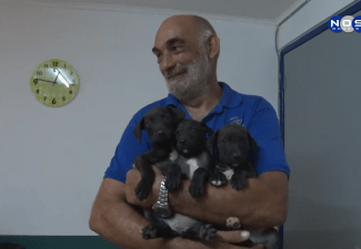 Gratis castratie of sterilisatie voor honden en katten op Bonaire
