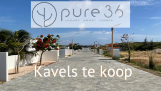 Pure36 Kavels