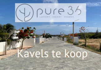 Pure36 Kavels