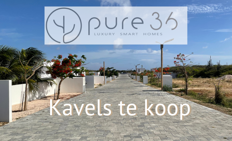 Pure36 Kavels