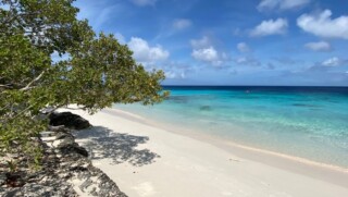 Boek nu snel een last minute vakantie naar zonnig en warm Bonaire