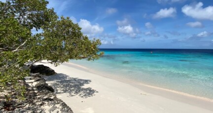 Boek nu snel een last minute vakantie naar zonnig en warm Bonaire