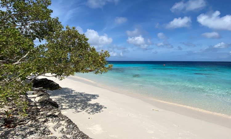 Het weer op Bonaire voor maandag 5 juli en de komende dagen