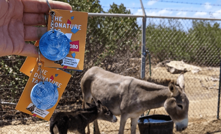 NOBO ontwikkelt sleutelhanger voor Donkey Sanctuary Bonaire