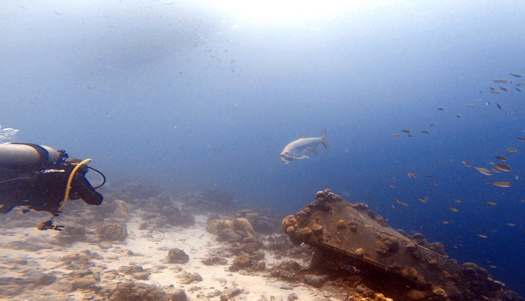 Duiken en snorkelen op Bonaire: Cliff en La Machaca