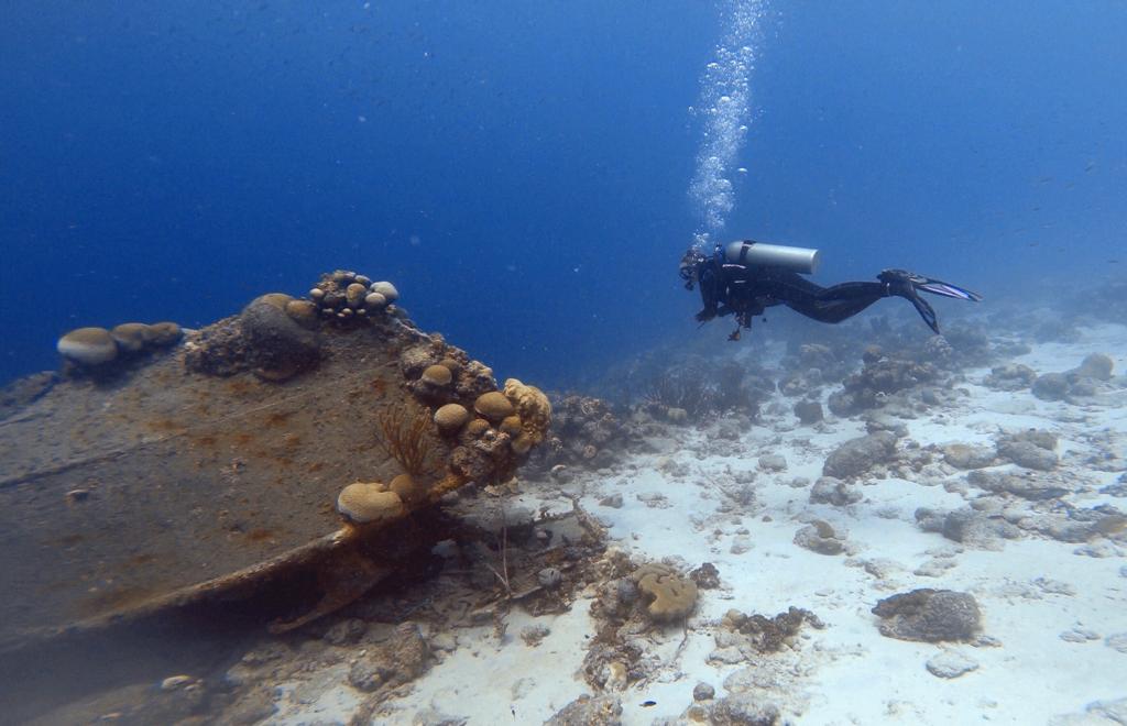 Duiken en snorkelen op Bonaire: Cliff en La Machaca