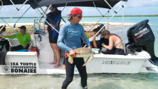 Sea Turtle Conservation Bonaire onderzoekt zeeschildpadden bij Lac