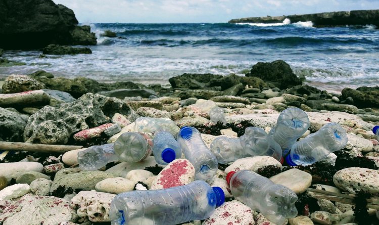 Wereld Natuur Fonds juicht motie toe over verbod wegwerp plastic Bonaire 