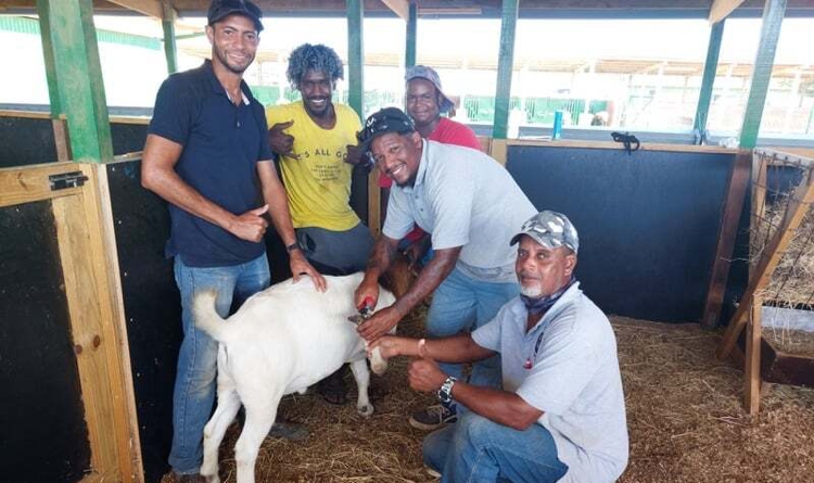 Medewerkers LVV starten training geitenverzorging