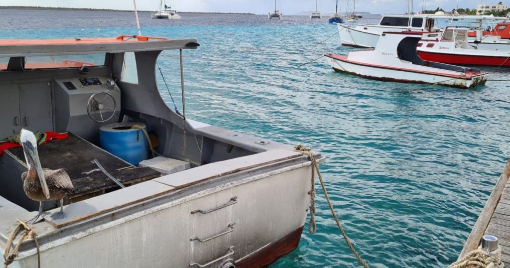 Bonaire wil naar duurzaam visserijbeleid