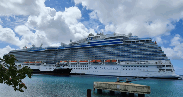 Bonaire stapt af van twee grote cruiseschepen per dag