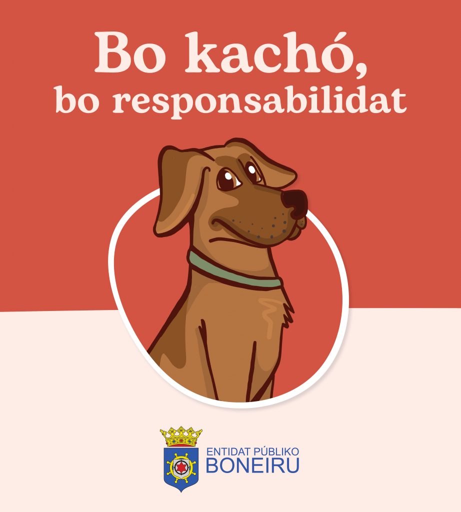 Uw hond, uw verantwoordelijkheid