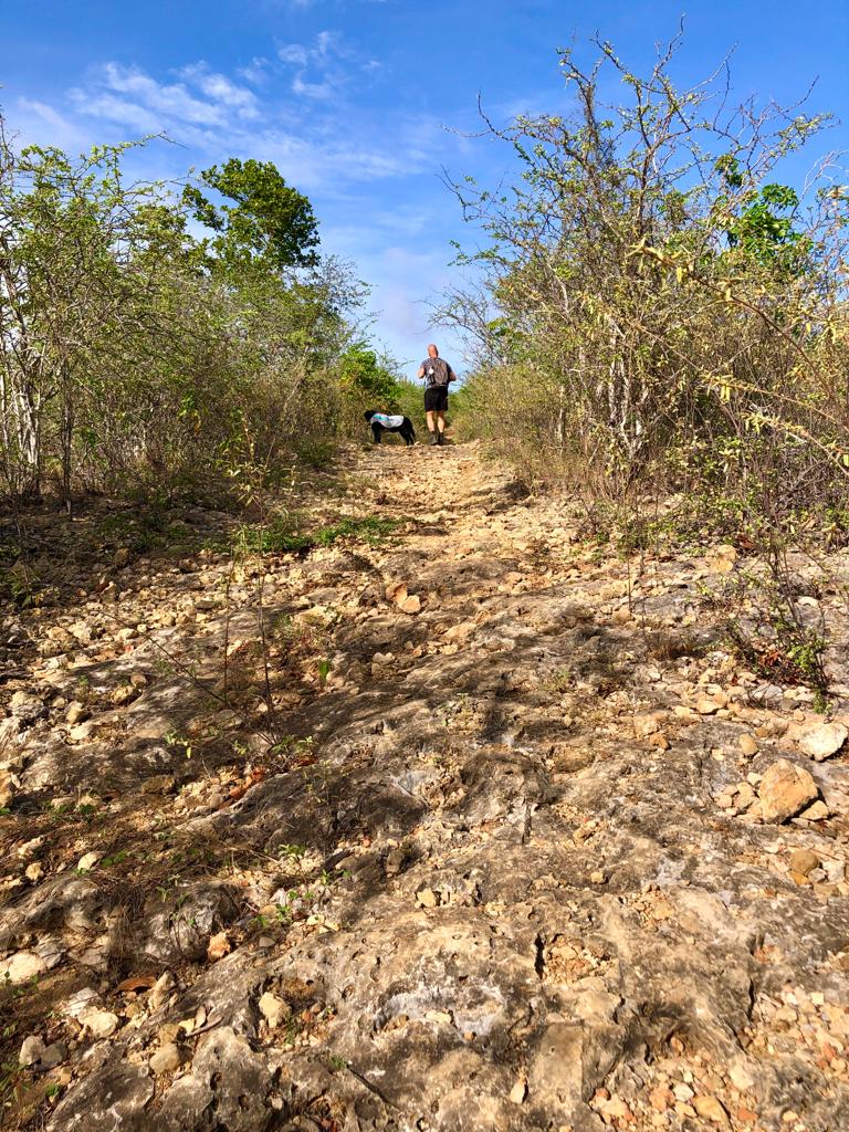 Wandelen op Bonaire: de Hell Trail