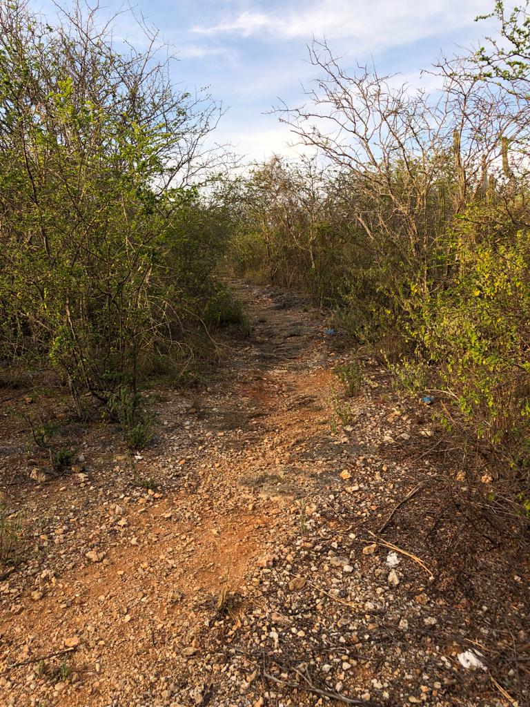 Wandelen op Bonaire: de Hell Trail