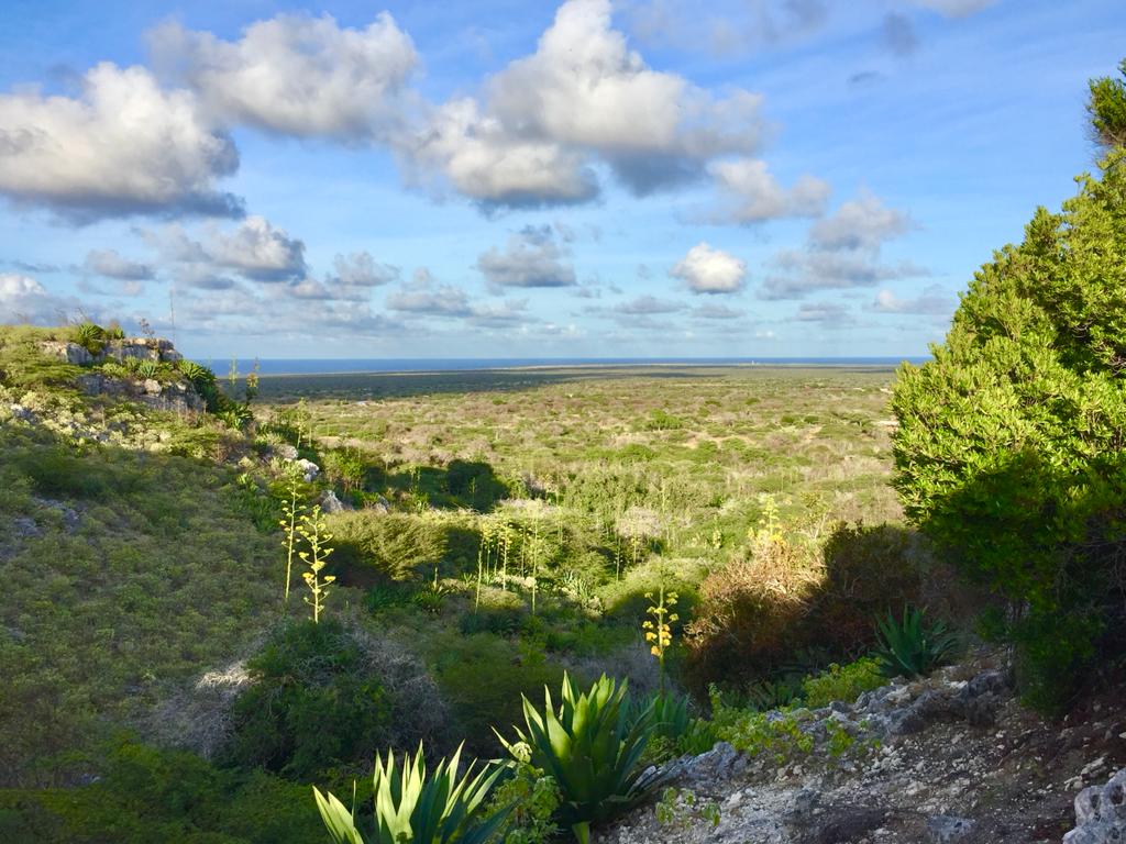 De leukste autoroutes op Bonaire