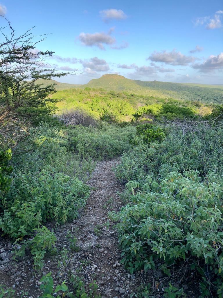 Twee minder bekende wandelroutes op Bonaire: Wasao en Kaomati