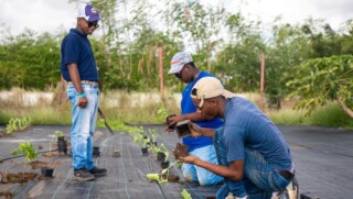 Wereld Natuur Fonds stelt subsidie beschikbaar voor projecten op Nederlands Caribische eilanden