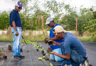 Wereld Natuur Fonds stelt subsidie beschikbaar voor projecten op Nederlands Caribische eilanden
