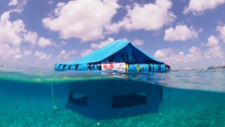 Reef Renewal Bonaire plaatst twee drijvende koraalkwekerijen