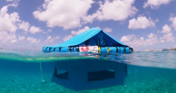 Reef Renewal Bonaire plaatst twee drijvende koraalkwekerijen