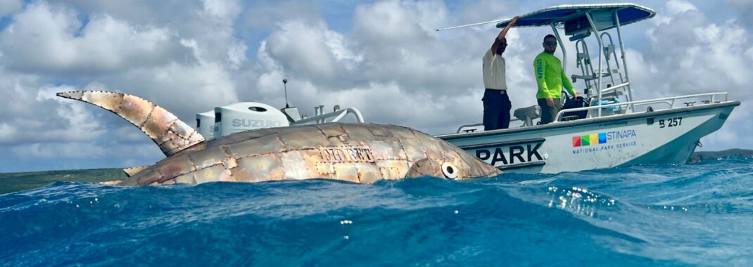 Kunstwerk Trippin Tuna komt aan op Bonaire