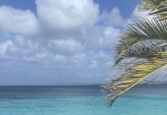 Het weerbericht voor Bonaire
