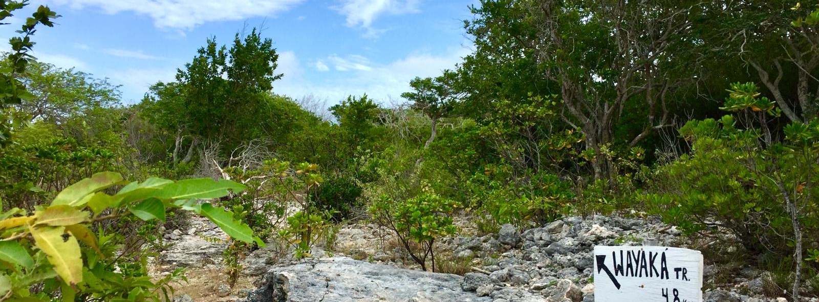 vWandelen op Bonaire: de Wayaka trail