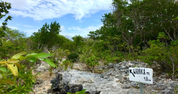 vWandelen op Bonaire: de Wayaka trail
