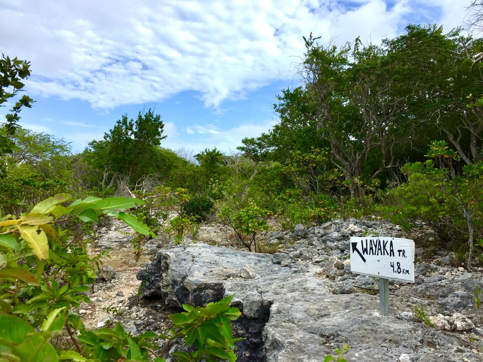 vWandelen op Bonaire: de Wayaka trail