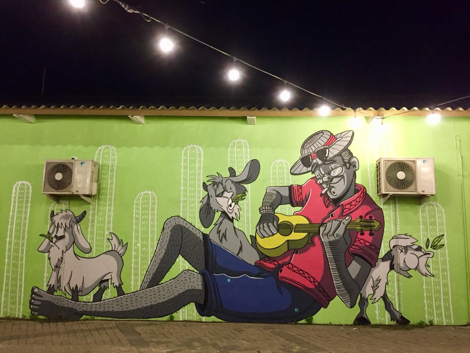 De mooiste street art op Bonaire