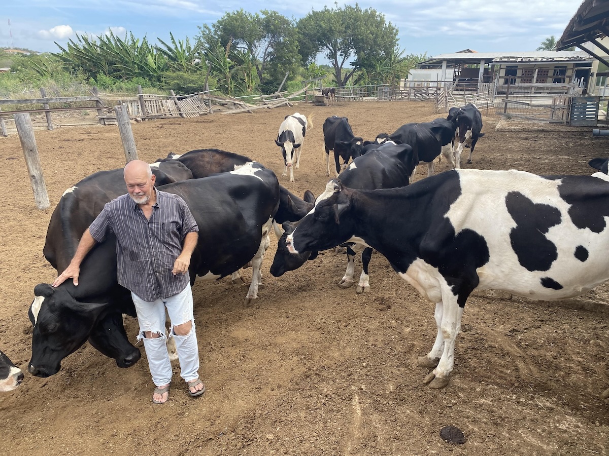 Natuurfarm Scherpenheuvel 