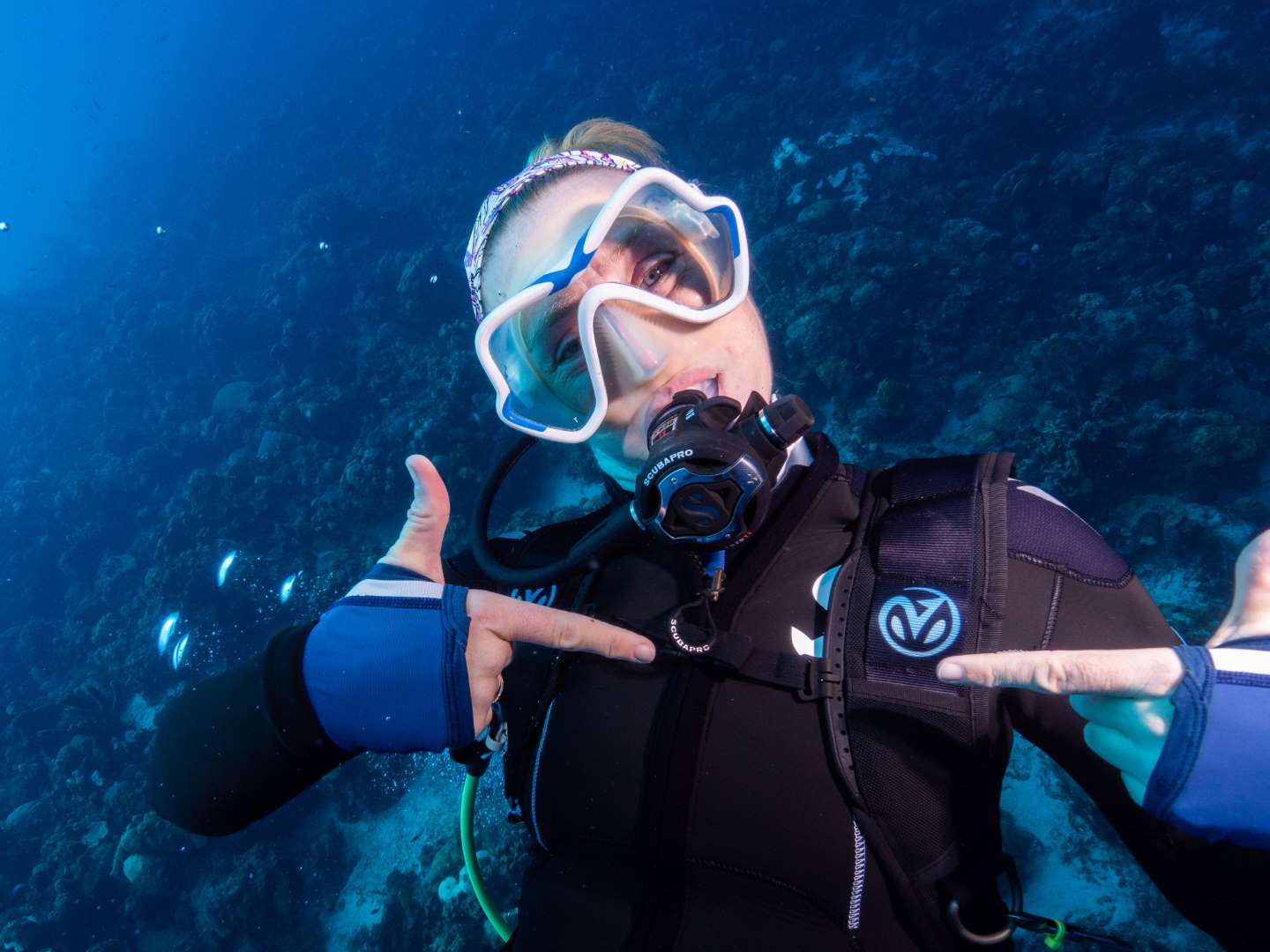 Avelo Dive Friends Bonaire