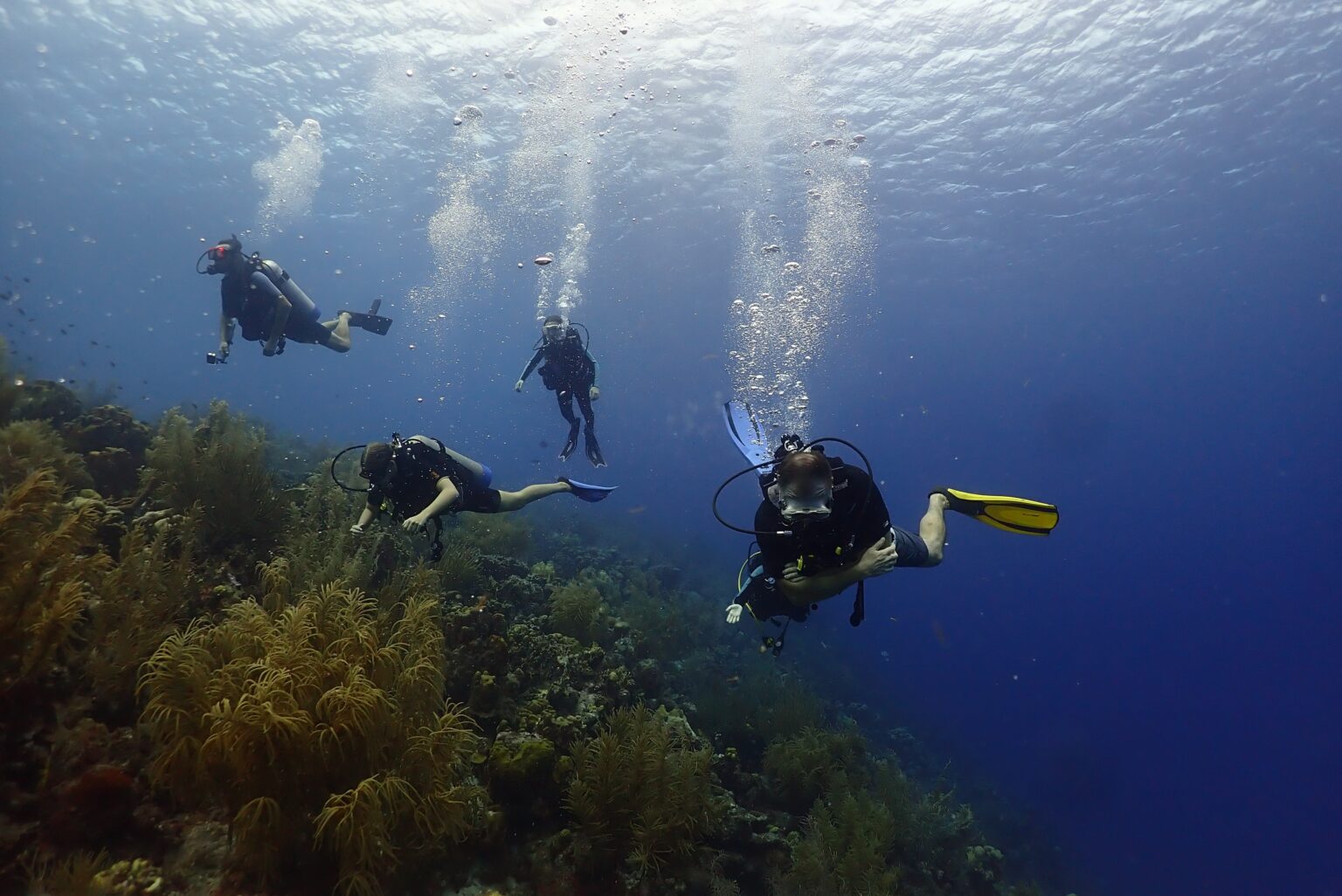 The Best of Bonaire