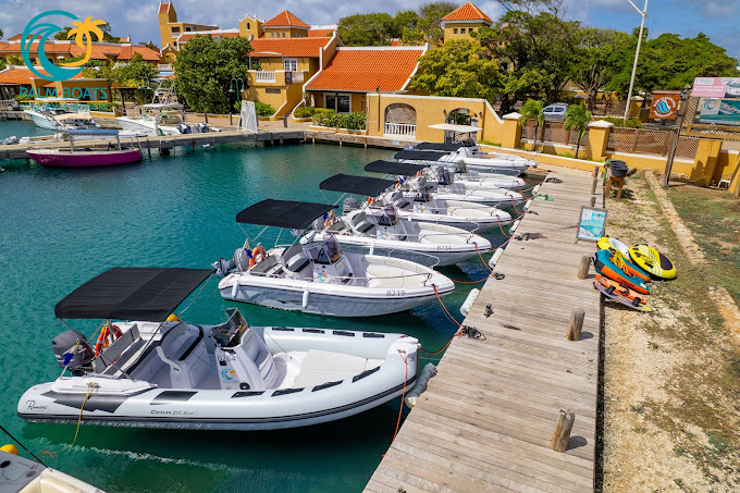 The Best of Bonaire