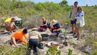 Klein Bonaire wordt eiland vol palmen